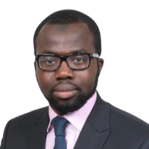 H.E. Hon. Cheikh Niane, 