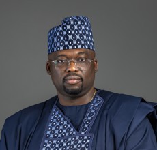 George Onafowokan, FNSE