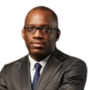 H.E. Olushegun (Shegun) Adjadi Bakari